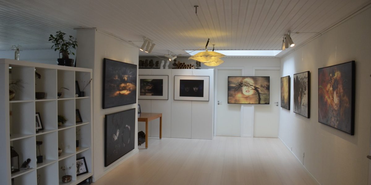 Galleri asiannordic_1600 (5)