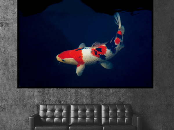 Koi_1__sofa_1_550x650