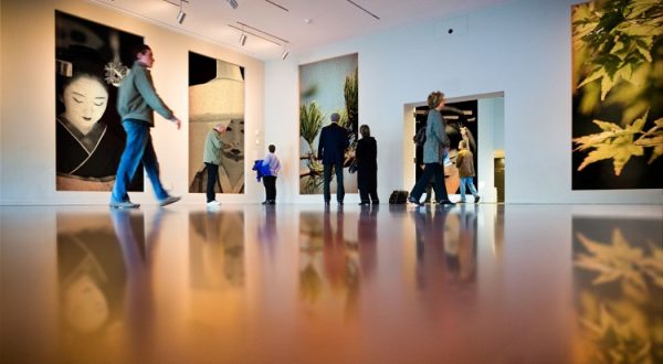 Gallerdemo_6