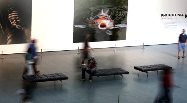 Gallerdemo_9