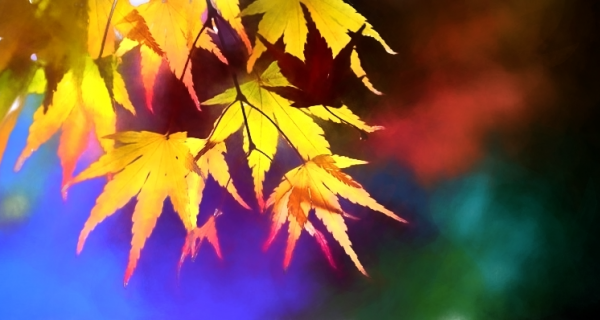 JohnnyF_5_T1