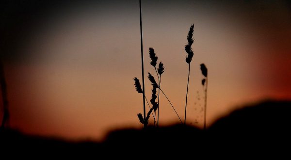 JohnnyF_solnedgang_1200