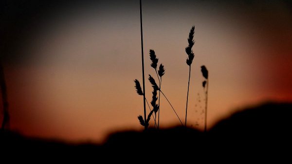 JohnnyF_solnedgang_1200