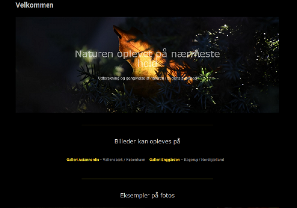 Traditioner