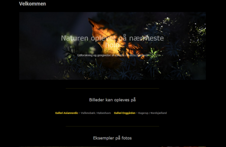 Ny hjemmeside